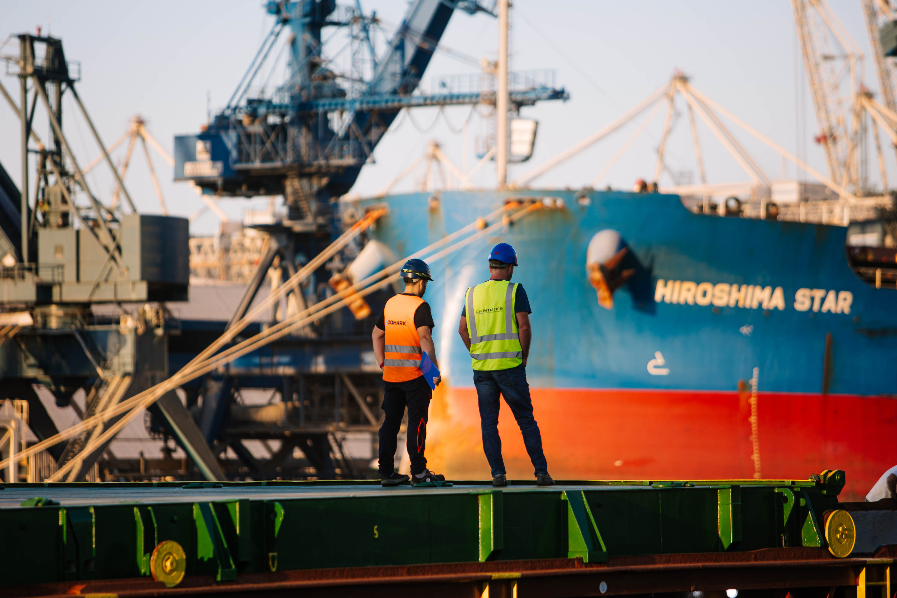 Project cargo supervision